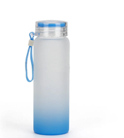 16.9oz Frosted Glass WATER BOTTLES